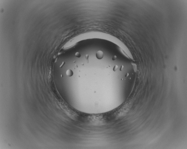 X0000075920660200610062209