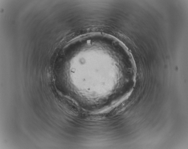 X0000075920661200610062209