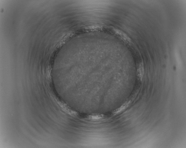 X0000075920662200610062209