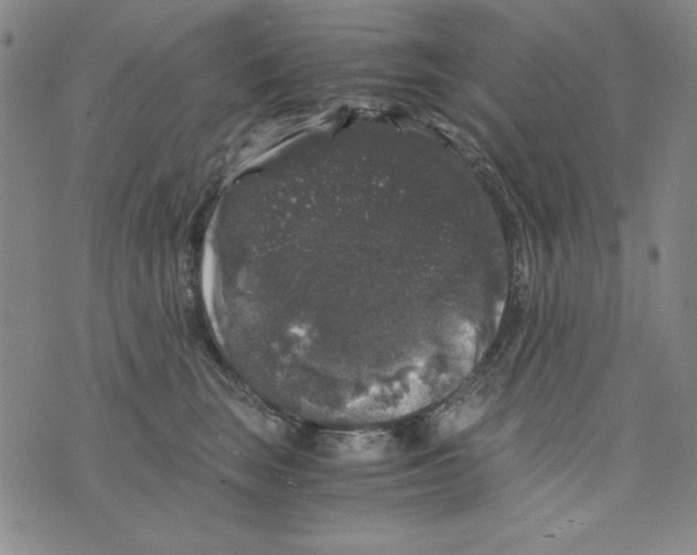 X0000075920663200610062209