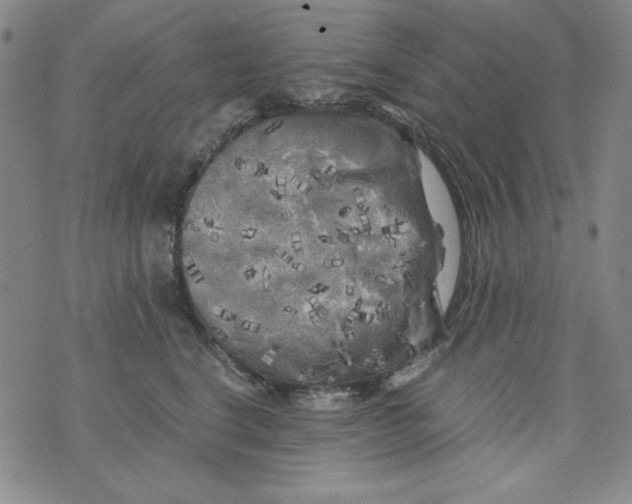 X0000075920664200610062209