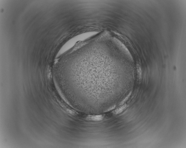 X0000075920665200610062209