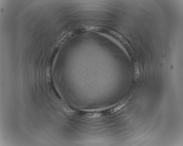 X0000075920667200610062209