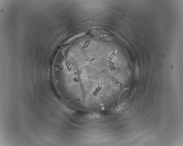 X0000075920668200610062209