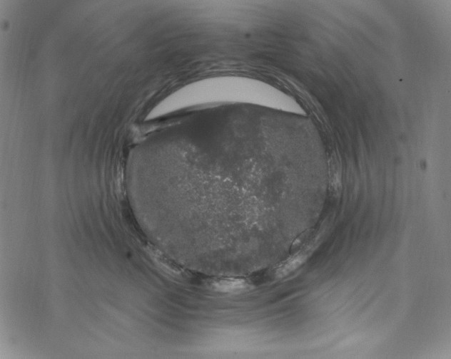 X0000075920669200610062209