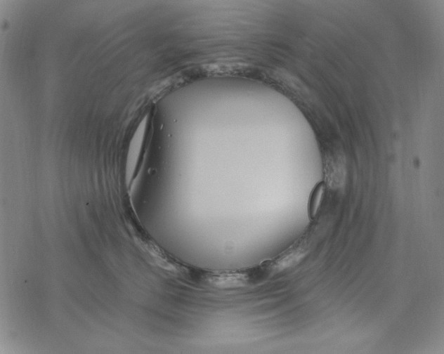 X0000075920670200610062209