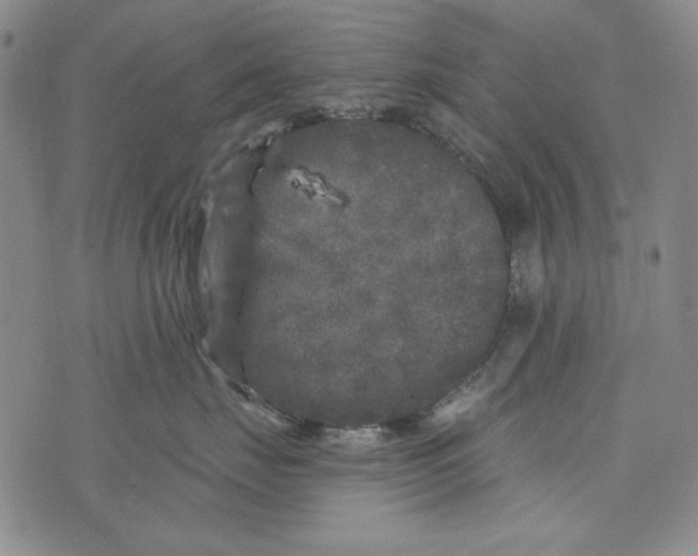 X0000075920671200610062209