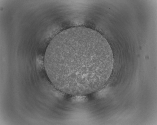 X0000075920672200610062209