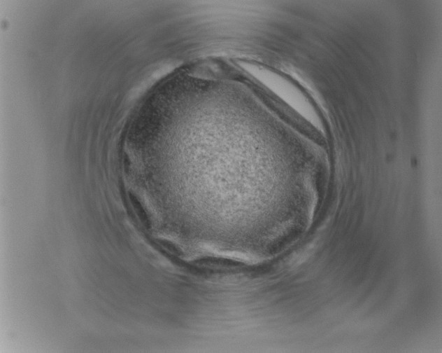 X0000075920673200610062208