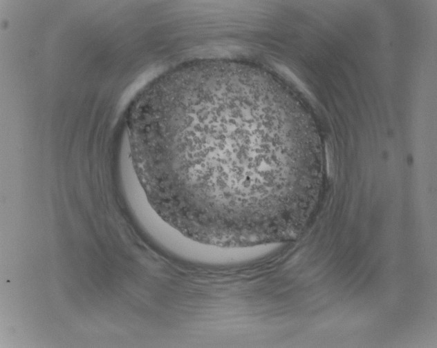 X0000075920675200610062208