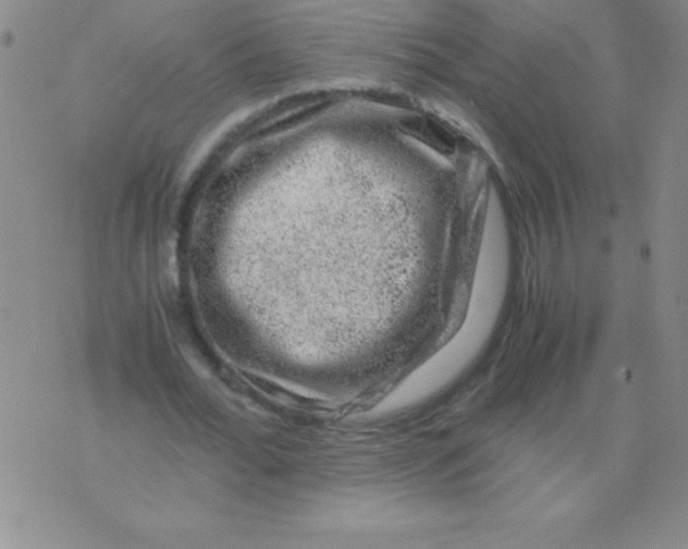 X0000075920676200610062208