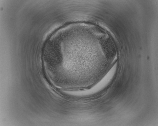 X0000075920677200610062208