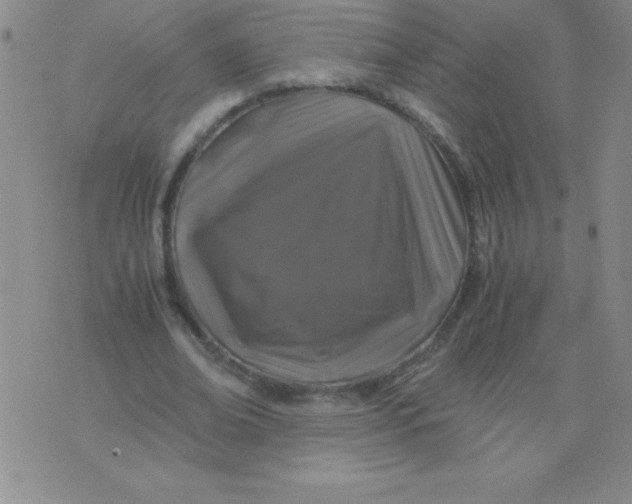 X0000075920678200610062208