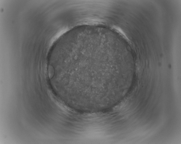 X0000075920679200610062208