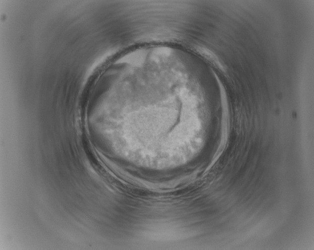 X0000075920680200610062208