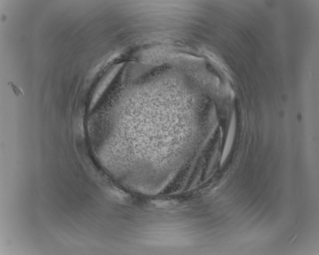 X0000075920681200610062208