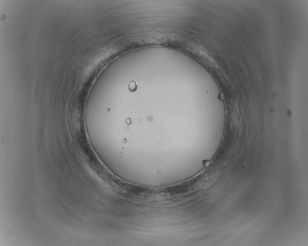 X0000075920683200610062208