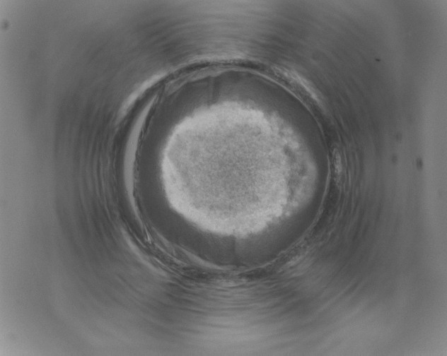 X0000075920684200610062208