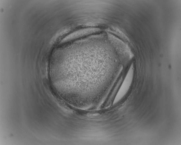 X0000075920685200610062208