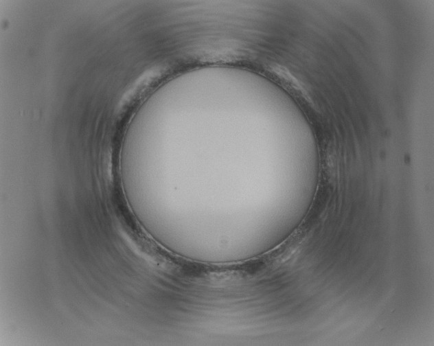 X0000075920686200610062208