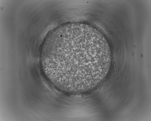 X0000075920687200610062208