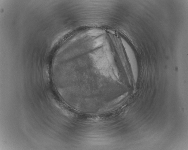 X0000075920688200610062208