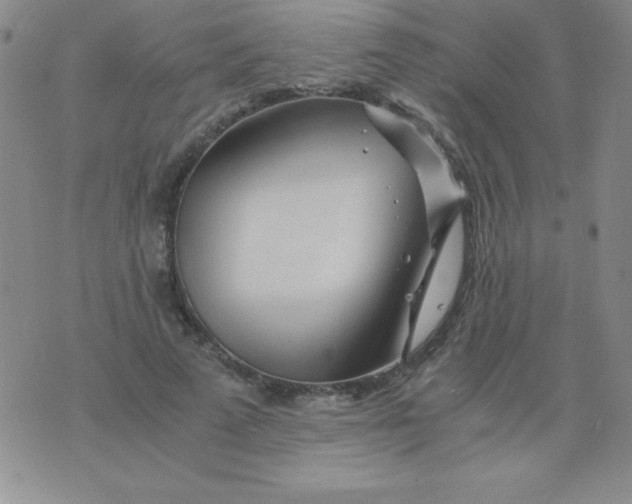 X0000075920689200610062208