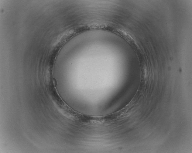 X0000075920690200610062208