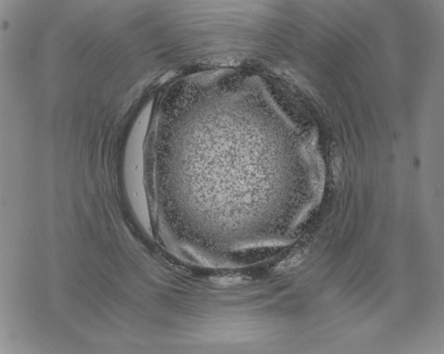 X0000075920693200610062208