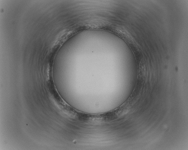 X0000075920694200610062208