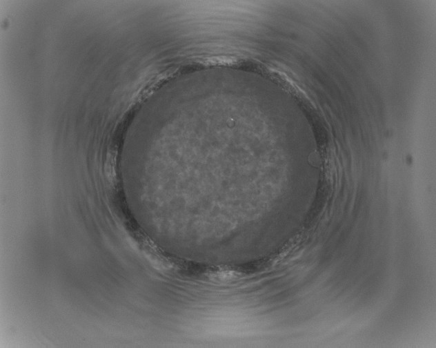 X0000075920695200610062208