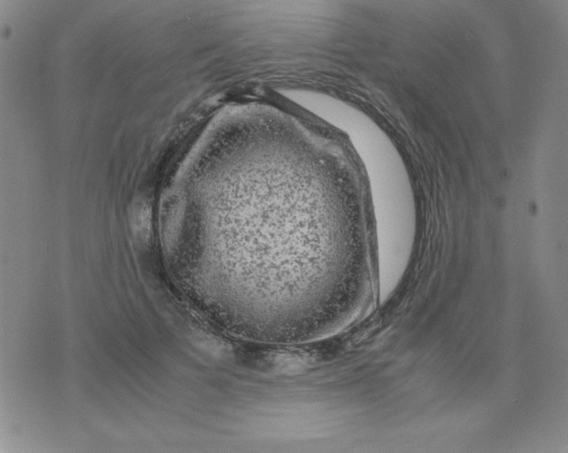 X0000075920697200610062208