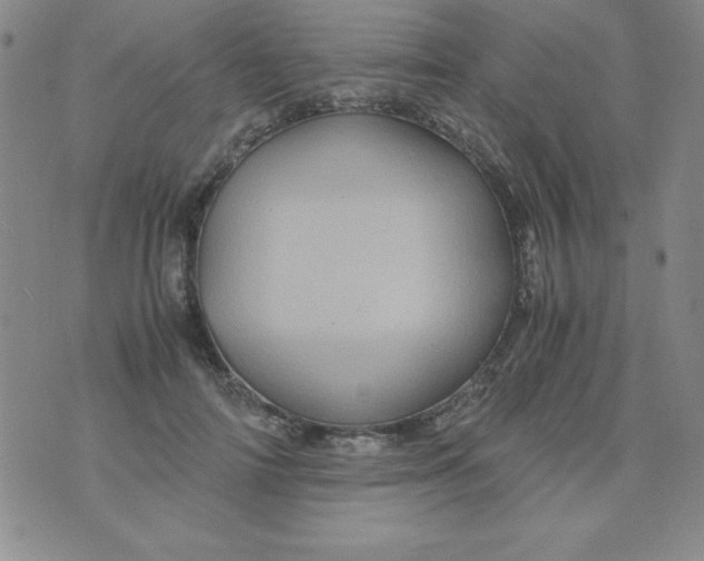 X0000075920698200610062208