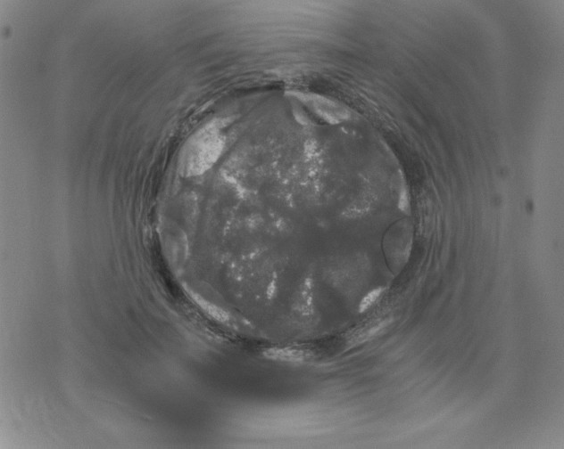 X0000075920699200610062208