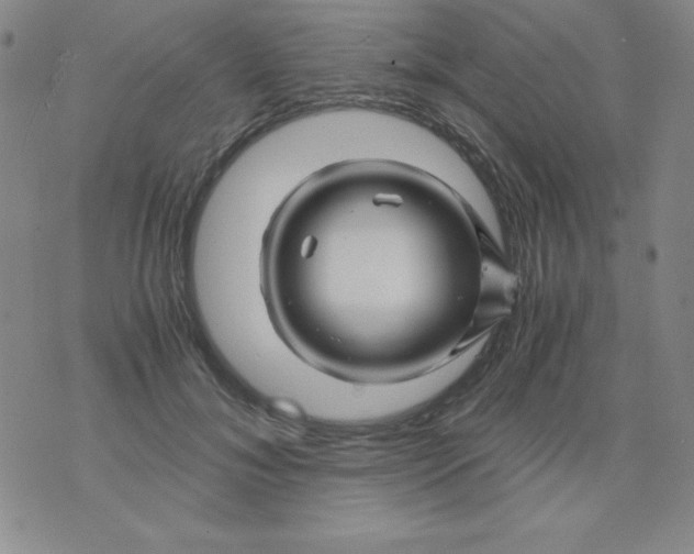 X0000075920700200610062208