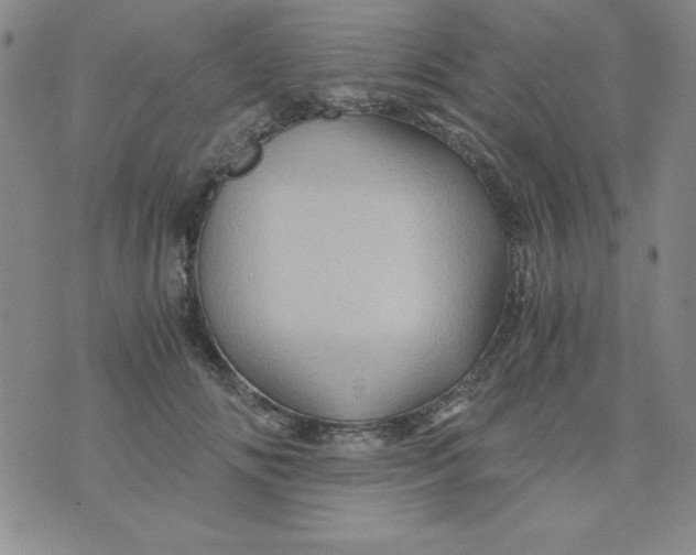 X0000075920702200610062208