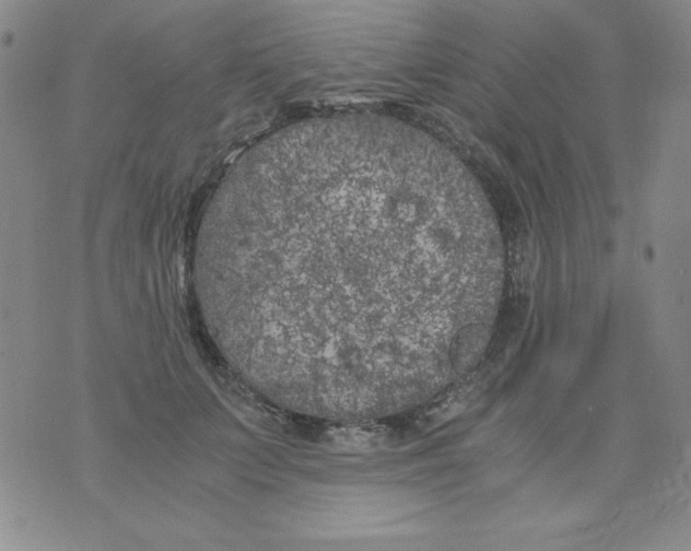 X0000075920703200610062208