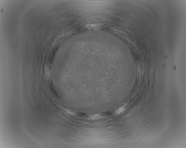 X0000075920705200610062208