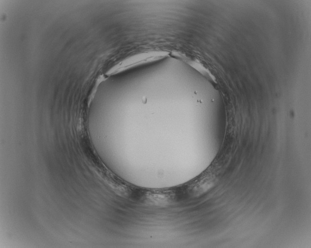 X0000075920706200610062208