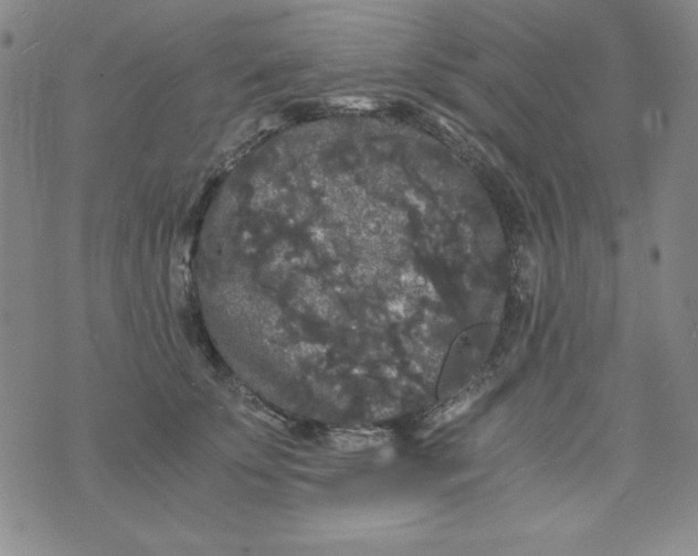 X0000075920707200610062208