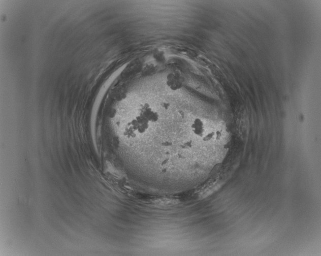 X0000075920708200610062208