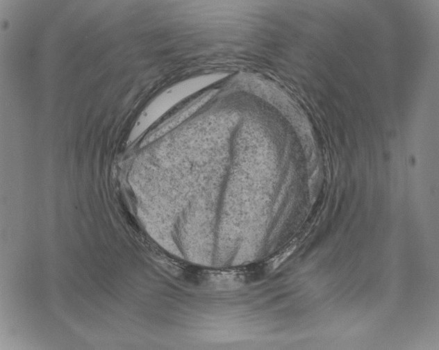 X0000075920709200610062208