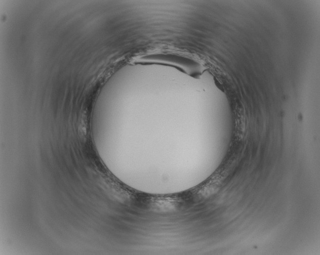 X0000075920710200610062208