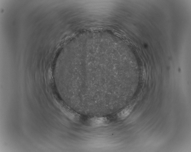 X0000075920711200610062208