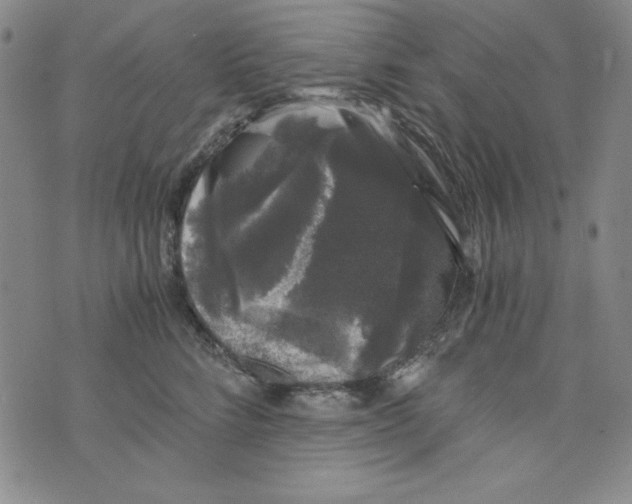 X0000075920712200610062208