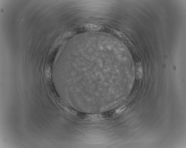 X0000075920713200610062208