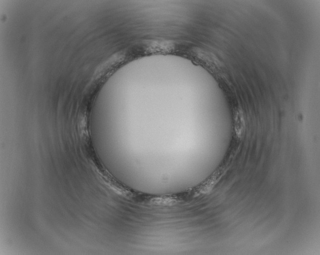 X0000075920714200610062208