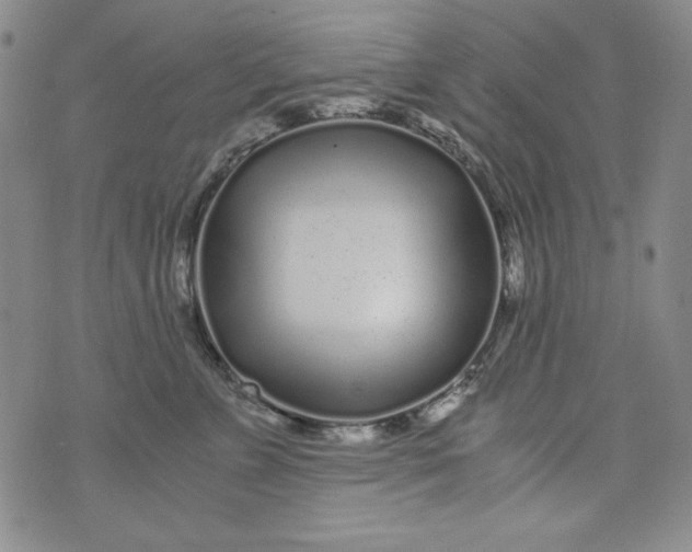 X0000075920715200610062208