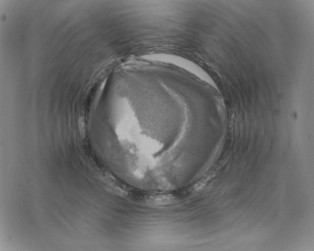 X0000075920716200610062208