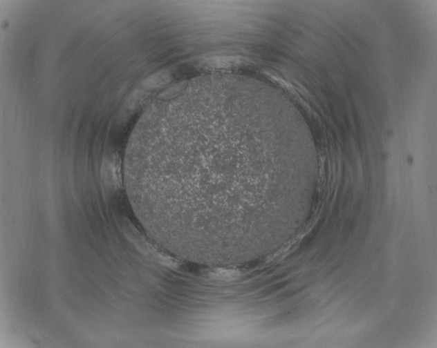 X0000075920718200610062207